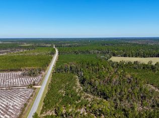 TRACT 2 River Rd, Folkston, GA 31537