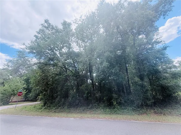 NW 120th Ave Lot 1, Ocala, FL 34482