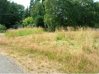 3rd image of 23603 Lake Dr