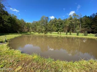 69 Layton Rd, Equinunk, PA 18417