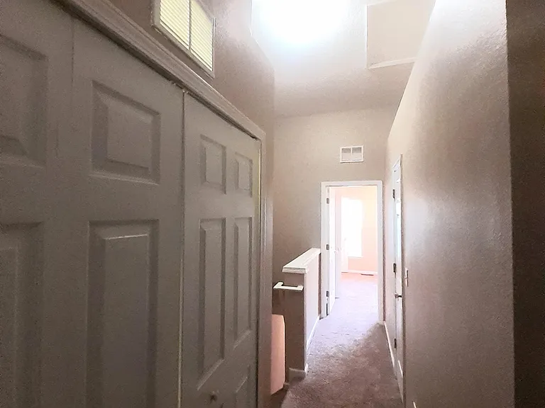 3568 Twisted Tree Ln — Photo 15