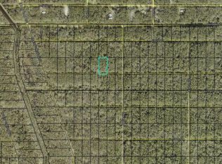 Xx Fagan St #513, Hastings, FL 32145