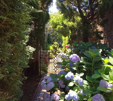 Side walkway to backyard