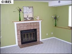 339 Elder fireplace