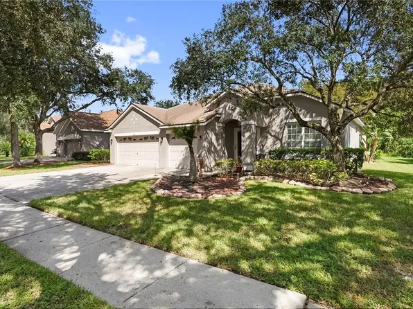 8121 BRINEGAR CIRCLE, TAMPA, FL 33647