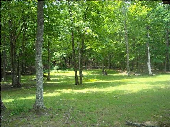 5th image of 1544 Crowe Cir