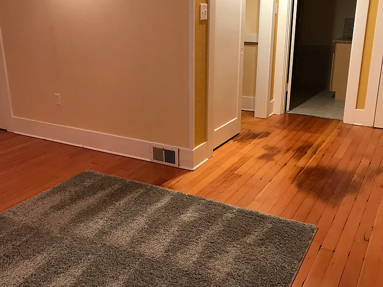 113 Park Ave — Photo 4