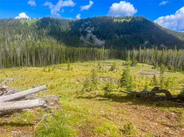 Nhn Red Lion Rd, Anaconda, MT 59711