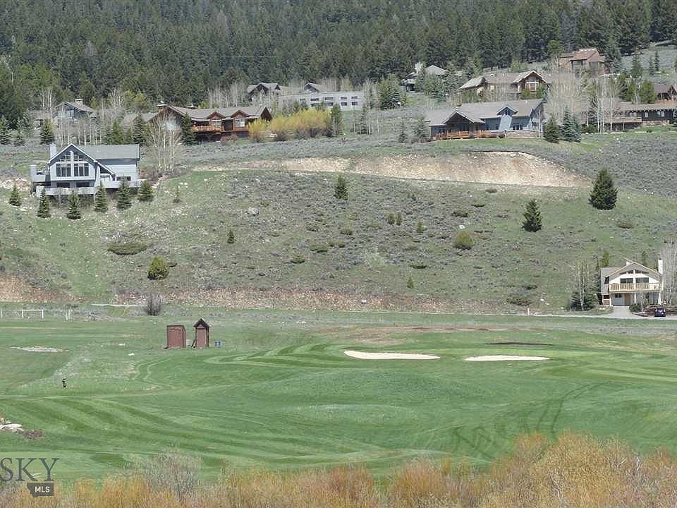2nd image of Tbd Little Coyote