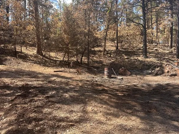 9087 S Pine Dr, Beulah, CO 81023