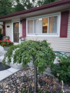 33790 Steadman Rd, New Boston, MI, 48164