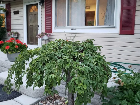 33790 Steadman Rd, New Boston, MI 48164