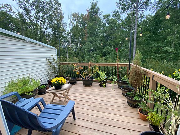 Beautiful Lush Green Patio Deck view
