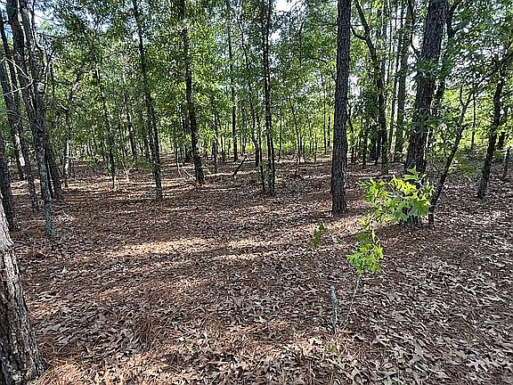 5th image of LOT 3 Persimmons Dr