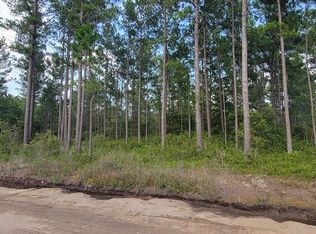 13 Groover Rd NE, Ludowici, GA 31316