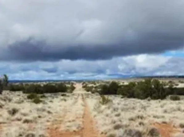 87 Bell Brand Rnch, Chambers, AZ 86502