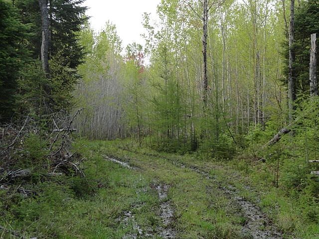 1st image of Us Highway 2