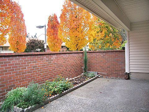Private covered patio