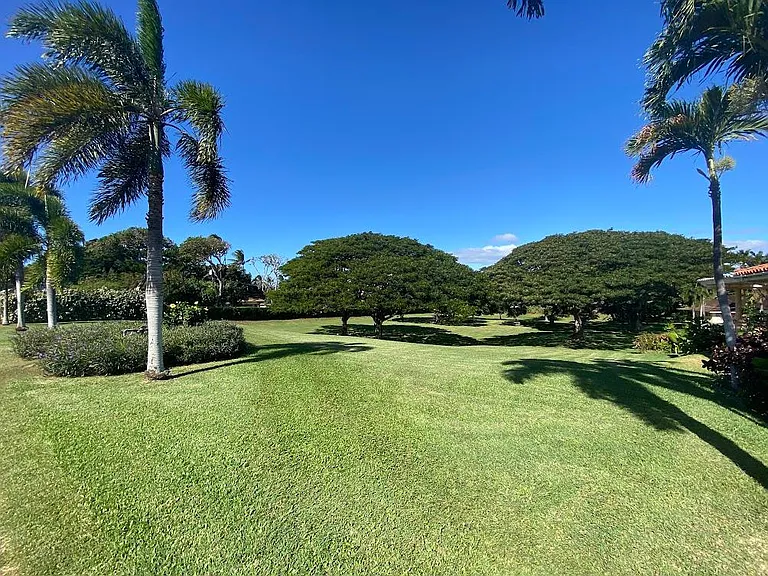 29 Waikai St — Photo 46