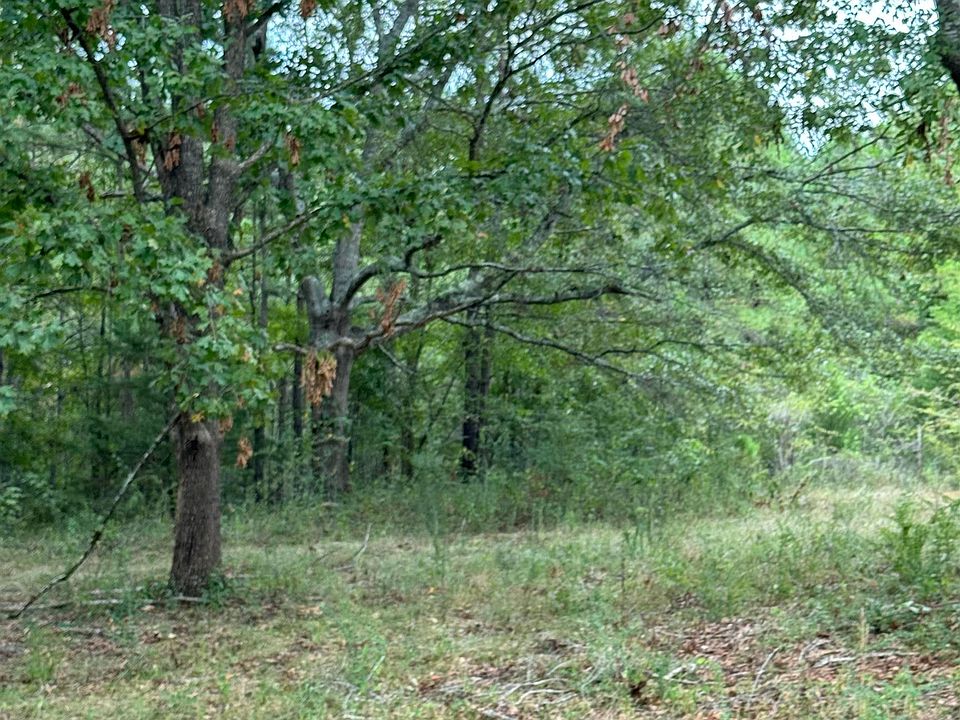 2nd image of 0 Mardisville Rd #0