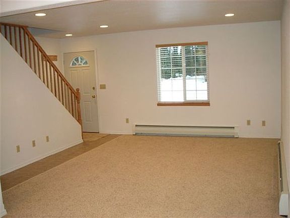 Carpet-bedrooms & living room