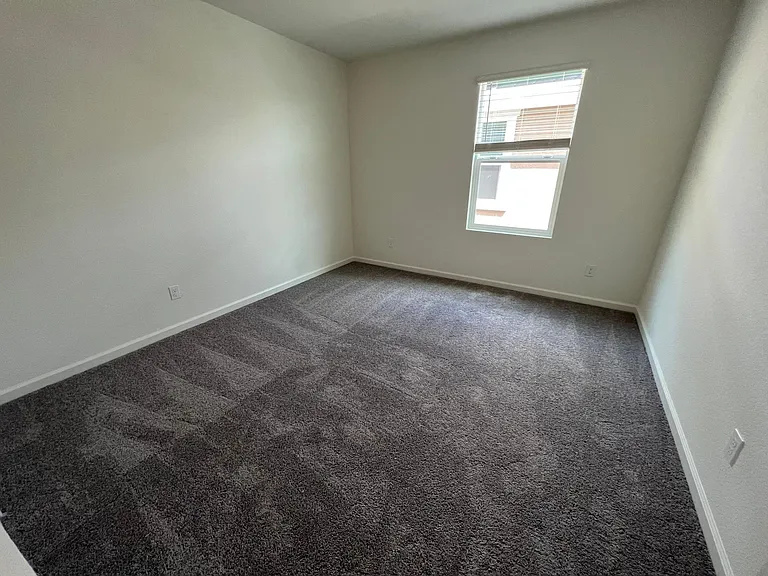 3351 Auburn Leaf Loop — Photo 15