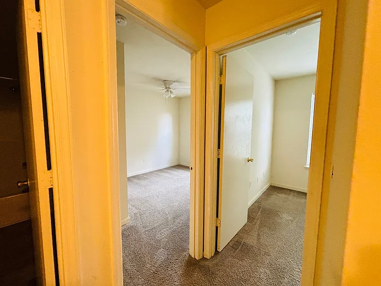 1417 Jennifer Dr — Photo 13