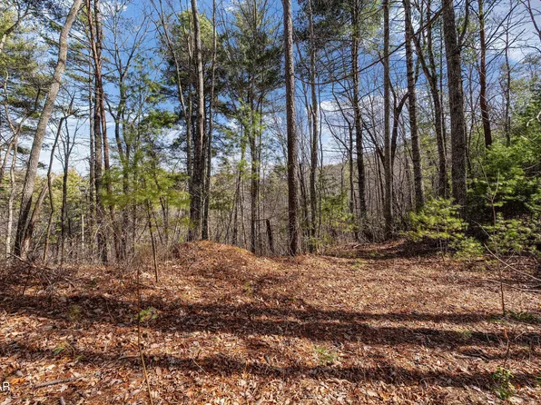 12 Paint Horse Way Lot 12, Sevierville, TN 37876
