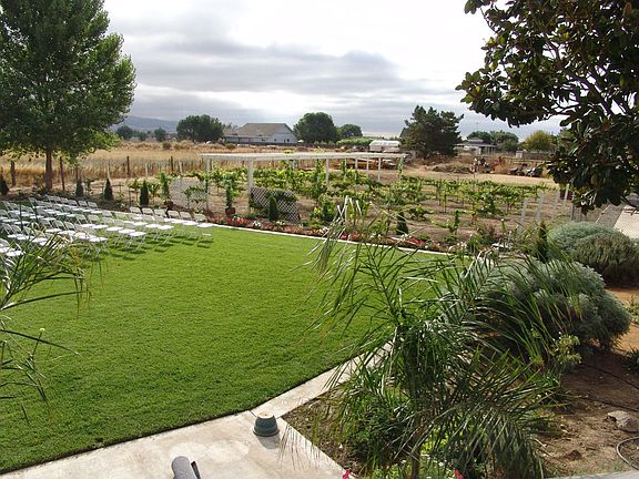 Backyard and vineyard