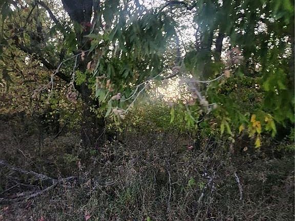 4th image of 29 Holly Ln