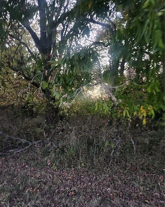 1st image of 33 Holly Ln