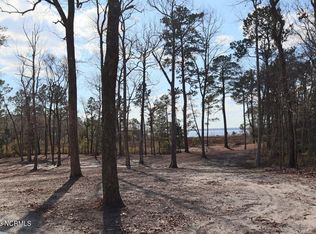 401 Elizabeth Rd, Arapahoe, NC 28510