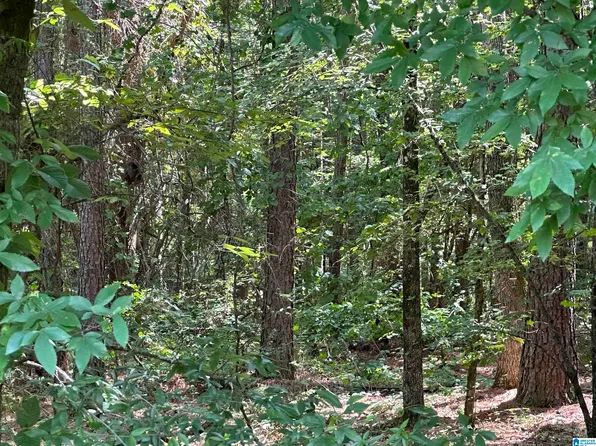 County Road 9 #1, Hayden, AL 35079