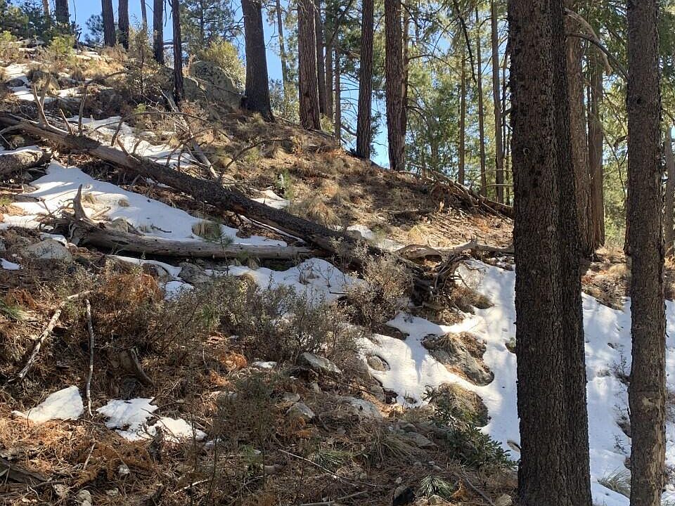 12672 N Ray Ave Mount Lemmon, AZ, 85619 Apartments for Rent Zillow