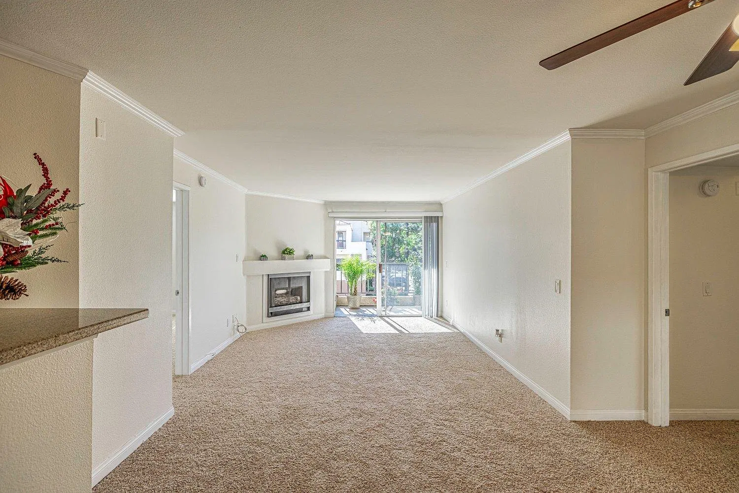 5535 Canoga Ave — Photo 3