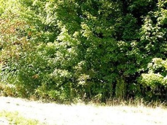 3rd image of 13 Forest Dr