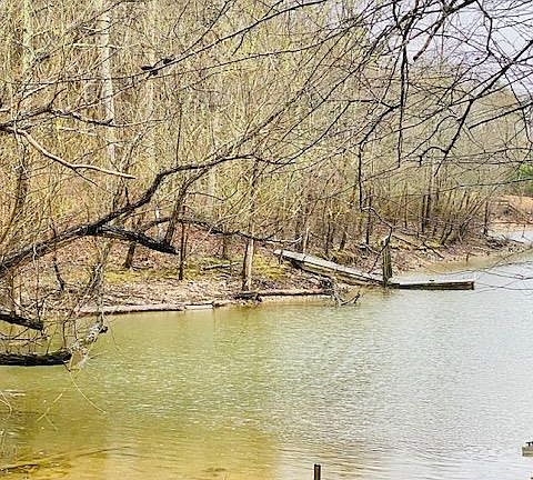 2nd image of 356 Arbor Ln
