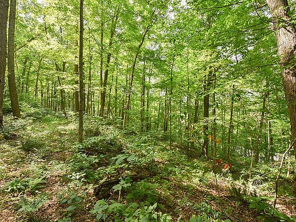 4th image of 182 Sunfish Creek Rd Tract 1