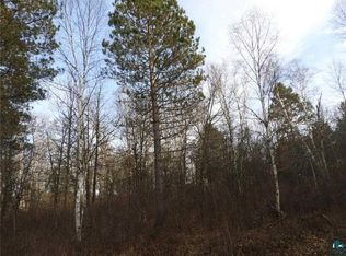 LOT 40 Buckhorn Rd, Solon Springs, WI 54873