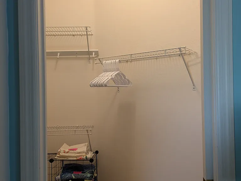 Master closet view from pocket door