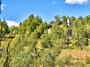 293 Old Squaw Rd, Como, CO 80456