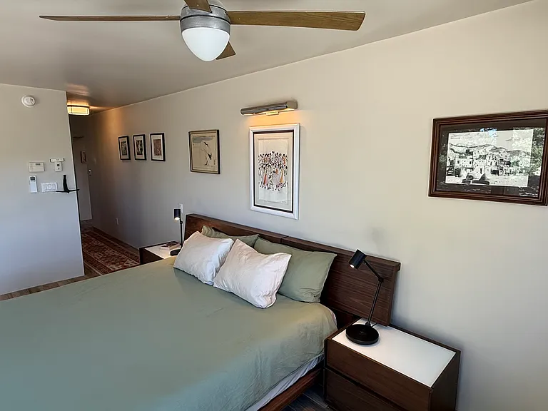 Master bedroom from the corner