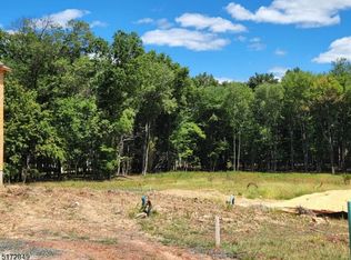 5 Ridgeview Ter, Bridgewater, NJ 08807