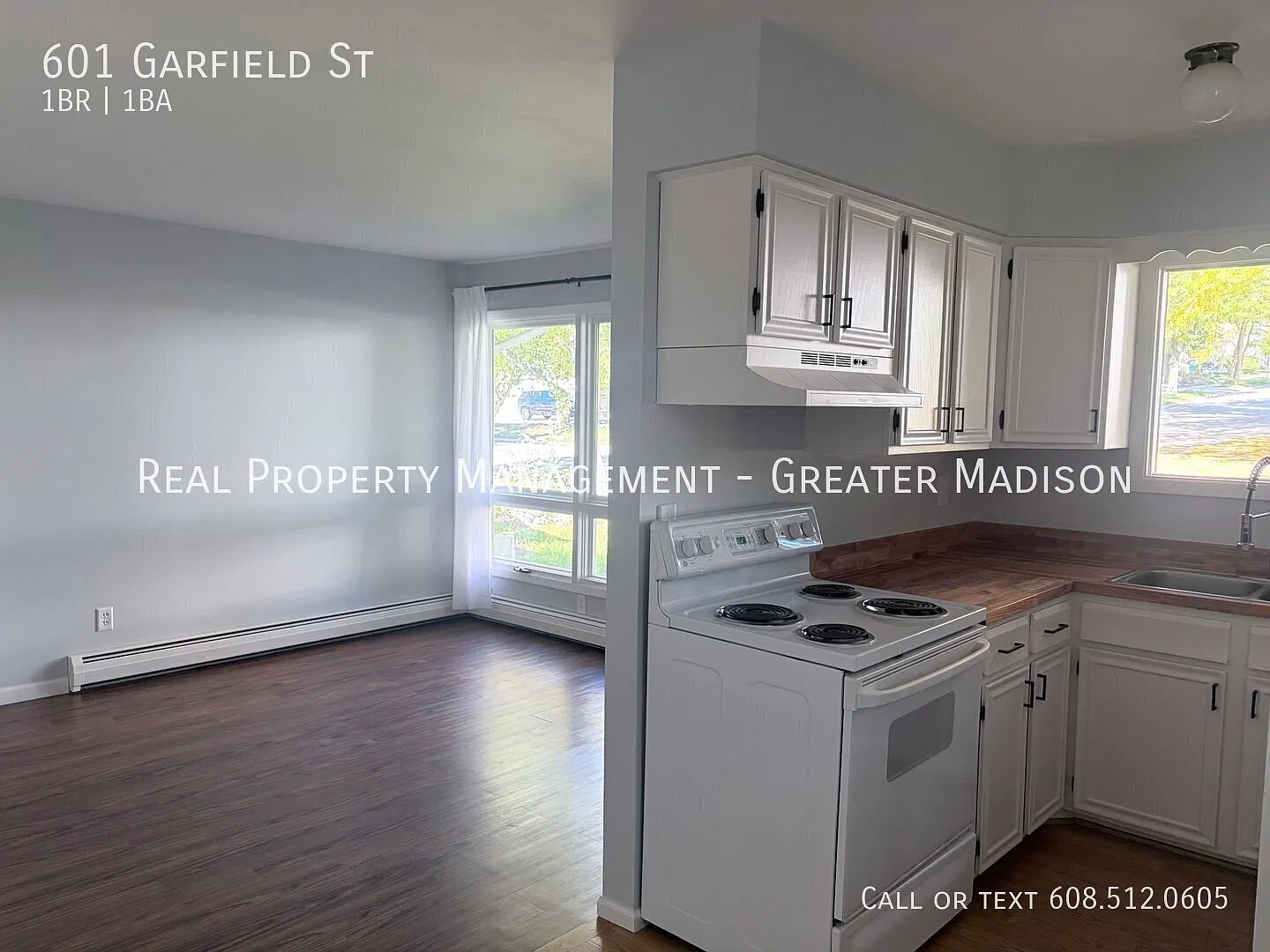 Charming 1-Bedroom Duplex with Finished Basement & Private Patio in Mt. Horeb! — Photo 4