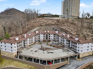 616 Turkey Nest Rd APT 313, Gatlinburg, TN 37738