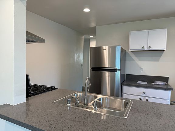 Chef's kitchen. All appliances (stove with vent, refrigerator, dishwasher) are all new and have never been used.