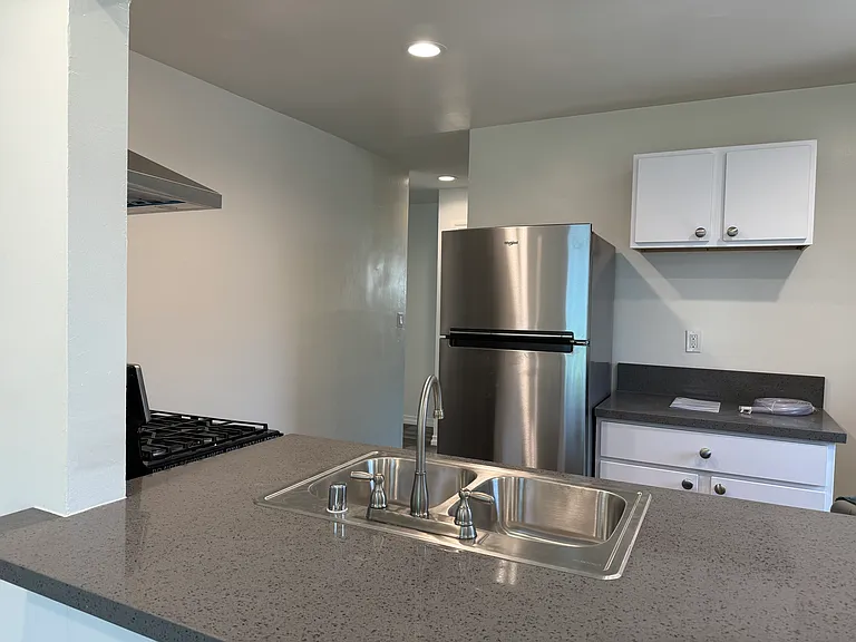 Chef's kitchen. All appliances (stove with vent, refrigerator, dishwasher) are all new and have never been used.