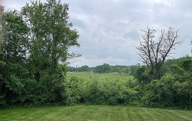 View from Backyard Deck
