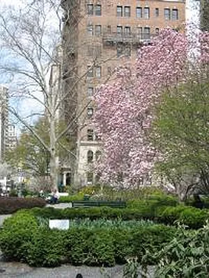 Rented by Corcoran | media 53