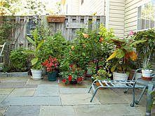 back patio